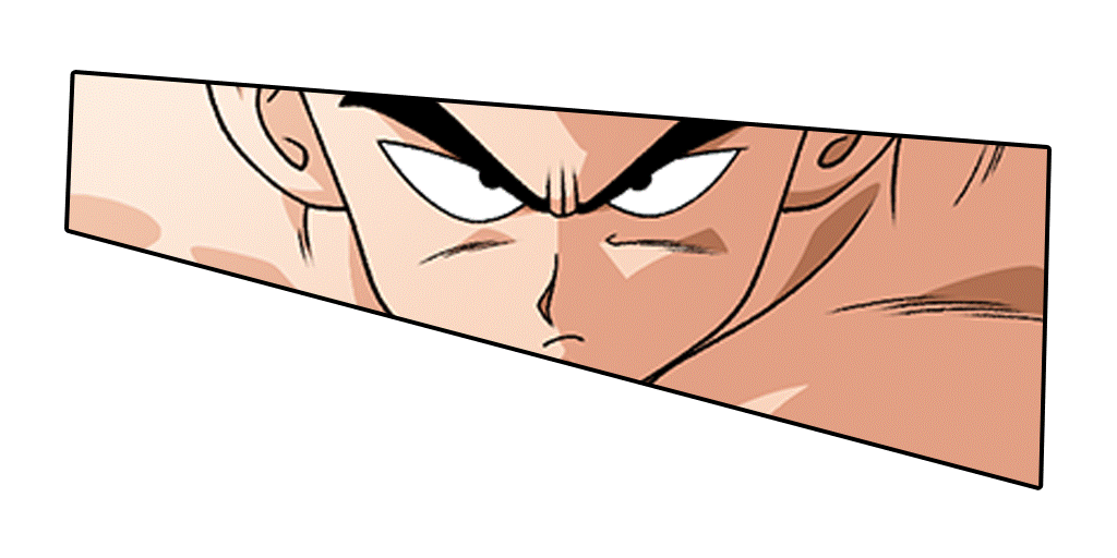 Asset Image