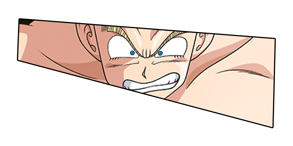 Asset Image